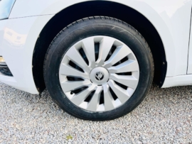 Octavia Combi weiß Rad